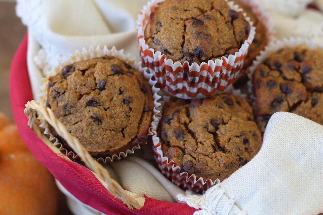 Healthy Fall Recipes // PaleOMG //Pumpkin Chocolate Chip Muffins