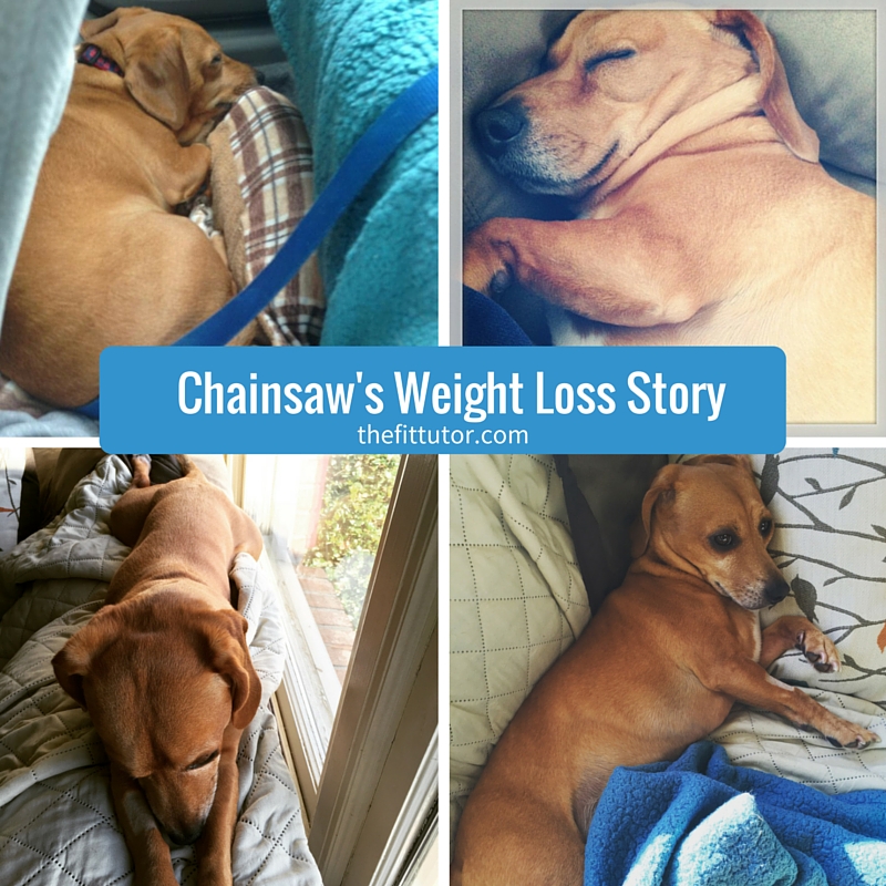 Chainsaw's Weight loss story - how portion control can help YOU lose weight #weightloss #portioncontrol 
