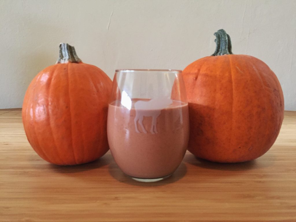 this pumpkin chocolate protein shake is everything you want this fall
