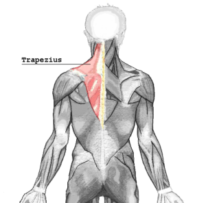 Do you have a lot of tension in your nexk and upper back? Check out th