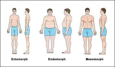 body types: macros 101